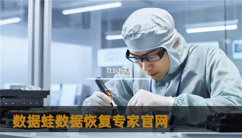 数据蛙数据恢复专家官网