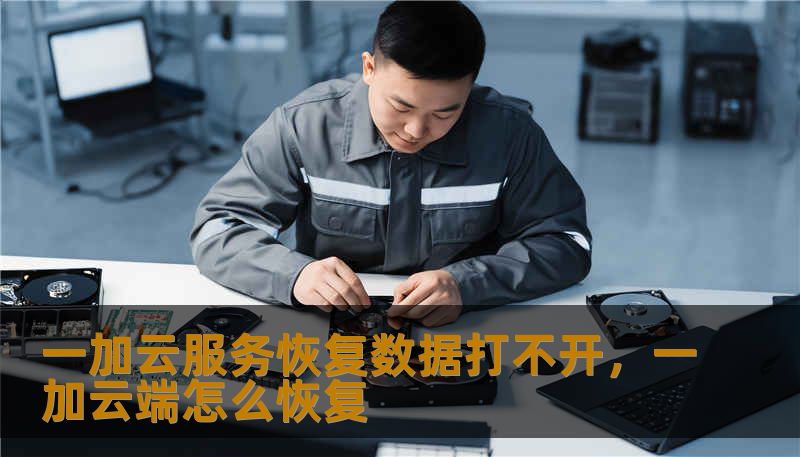 一加云服务恢复数据打不开，一加云端怎么恢复