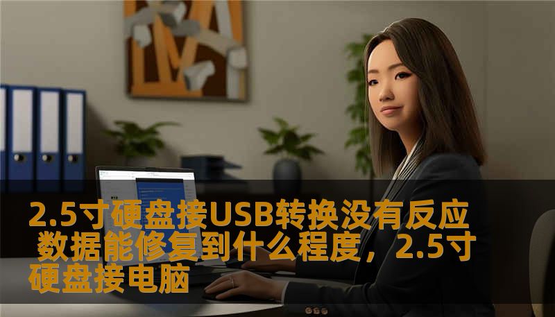 2.5寸硬盘接USB转换没有反应 数据能修复到什么程度，2.5寸硬盘接电脑