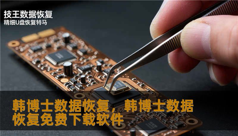 韩博士数据恢复，韩博士数据恢复免费下载软件
