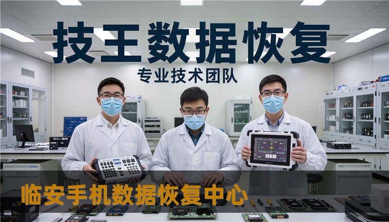 临安手机数据恢复中心