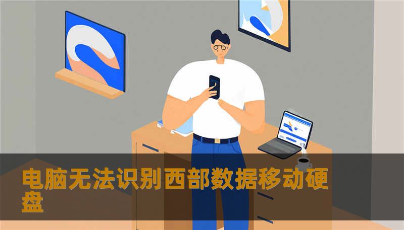 电脑无法识别西部数据移动硬盘