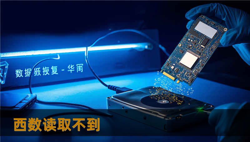 西数读取不到