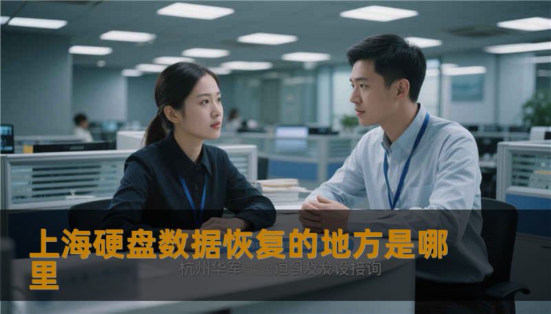 上海硬盘数据恢复的地方是哪里 上海硬盘数据恢复的地方是哪里