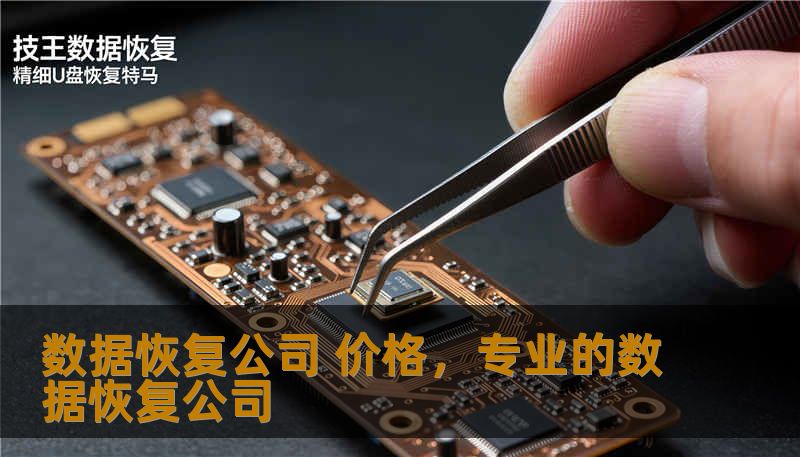 数据恢复公司 价格，专业的数据恢复公司