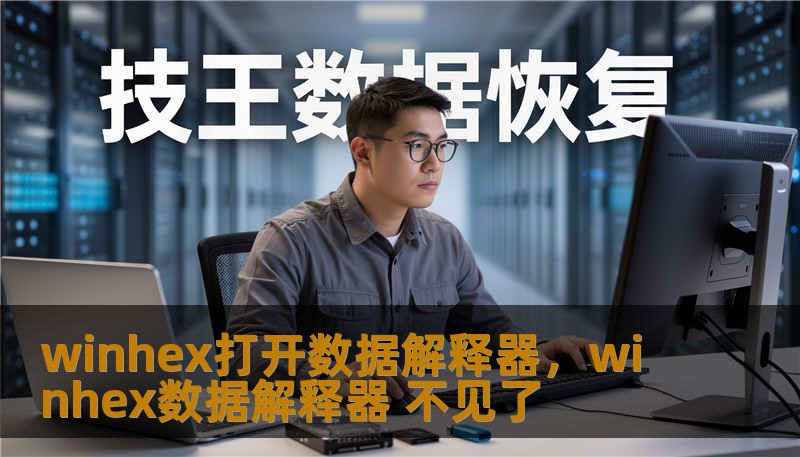 winhex打开数据解释器，winhex数据解释器 不见了