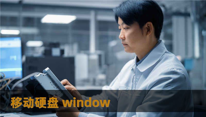 移动硬盘 window