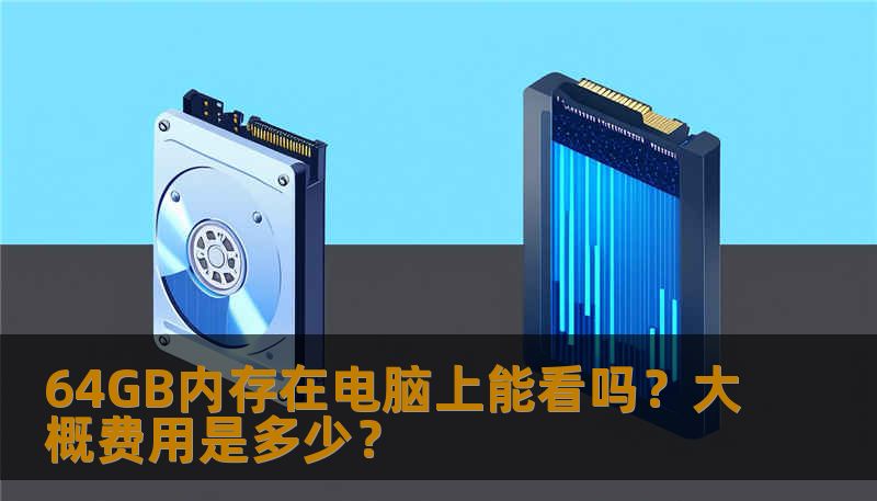 64GB内存在电脑上能看吗？大概费用是多少？