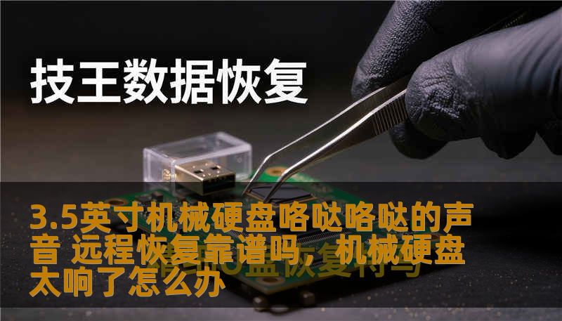 3.5英寸机械硬盘咯哒咯哒的声音 远程恢复靠谱吗，机械硬盘太响了怎么办