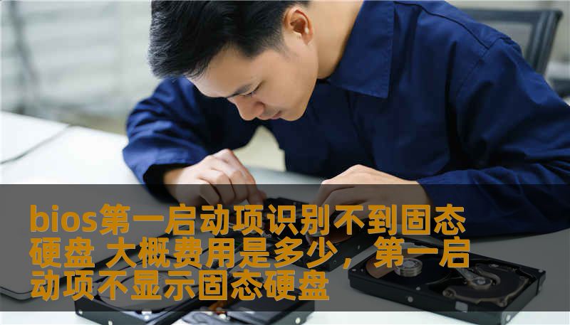 bios第一启动项识别不到固态硬盘 大概费用是多少，第一启动项不显示固态硬盘