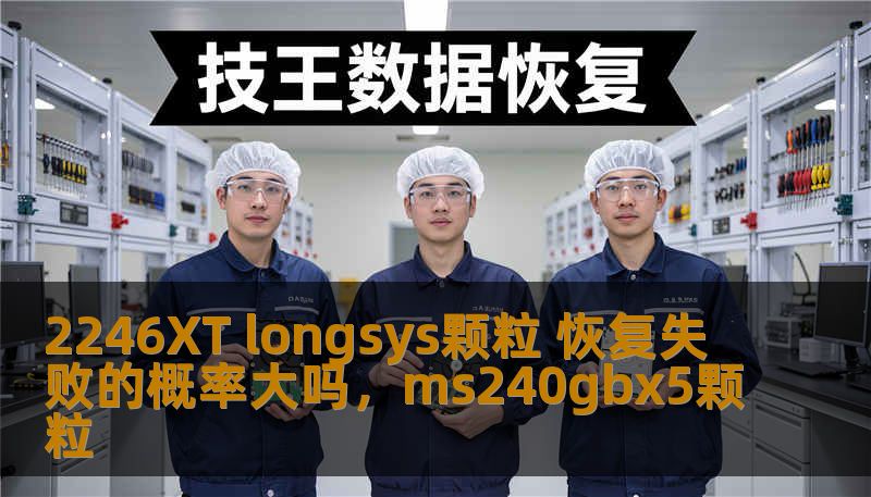 2246XT longsys颗粒 恢复失败的概率大吗，ms240gbx5颗粒