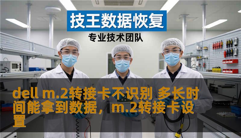 dell m.2转接卡不识别 多长时间能拿到数据，m.2转接卡设置