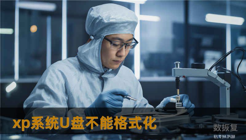 xp系统U盘不能格式化