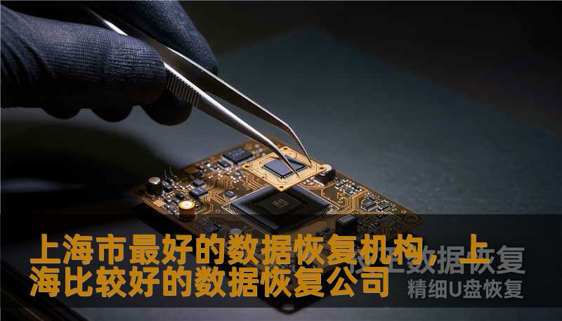 上海市最好的数据恢复机构，上海比较好的数据恢复公司