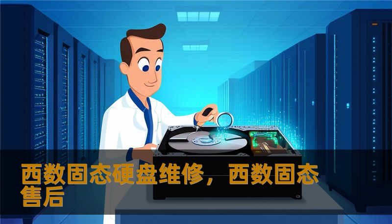 西数固态硬盘维修，西数固态售后