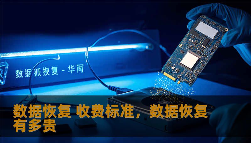 数据恢复 收费标准，数据恢复有多贵