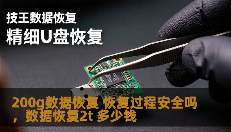 200g数据恢复 恢复过程安全吗，数据恢复2t 多少钱