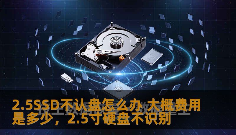 2.5SSD不认盘怎么办 大概费用是多少，2.5寸硬盘不识别
