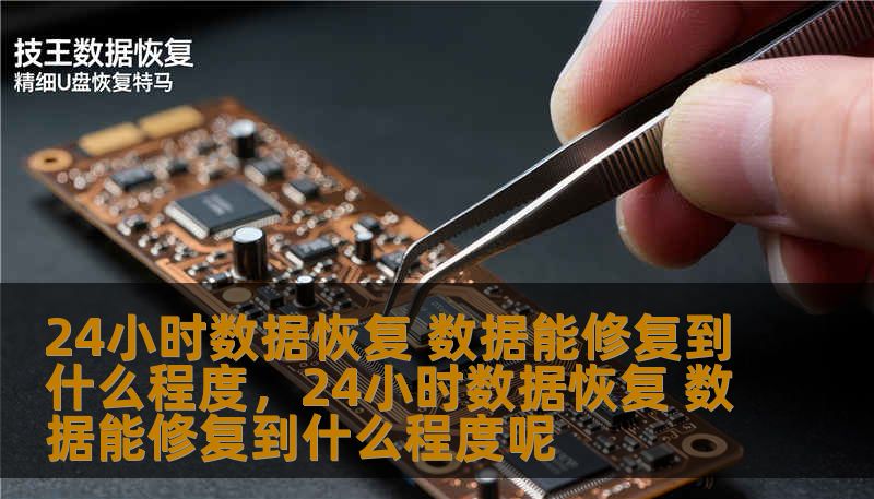 24小时数据恢复 数据能修复到什么程度,24小时数据恢复 数据能修复到什么程度呢 24小时数据恢复 数据能修复到什么程度,24小时数据恢复 数据能修复到什么程度呢