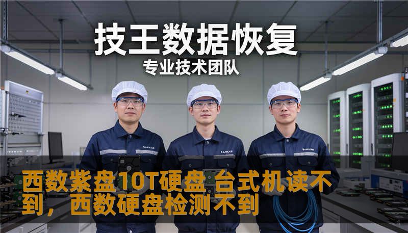 西数紫盘10T硬盘 台式机读不到，西数硬盘检测不到