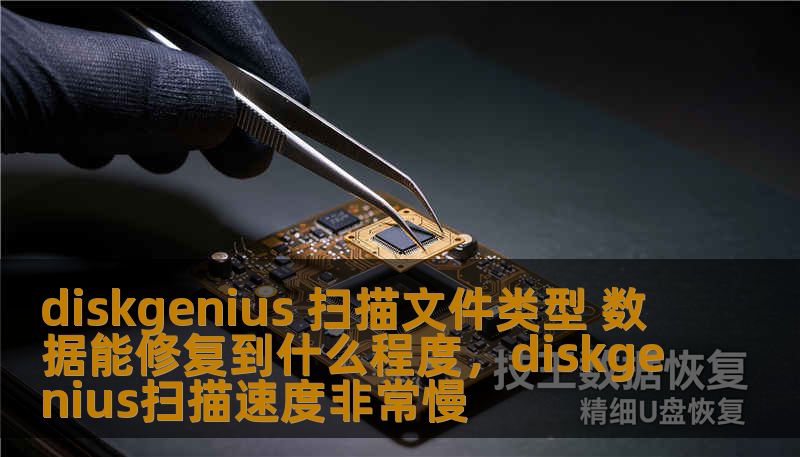 diskgenius 扫描文件类型 数据能修复到什么程度，diskgenius扫描速度非常慢