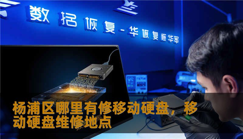 杨浦区哪里有修移动硬盘,移动硬盘维修地点 杨浦区哪里有修移动硬盘,移动硬盘维修地点