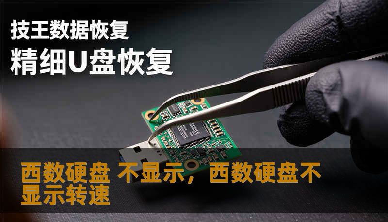 西数硬盘 不显示，西数硬盘不显示转速
