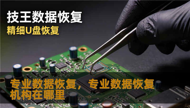 专业数据恢复，专业数据恢复机构在哪里