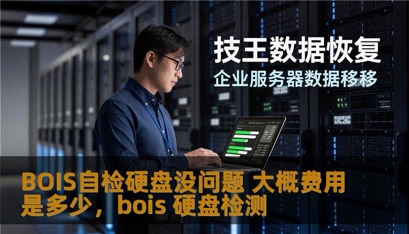 BOIS自检硬盘没问题 大概费用是多少，bois 硬盘检测