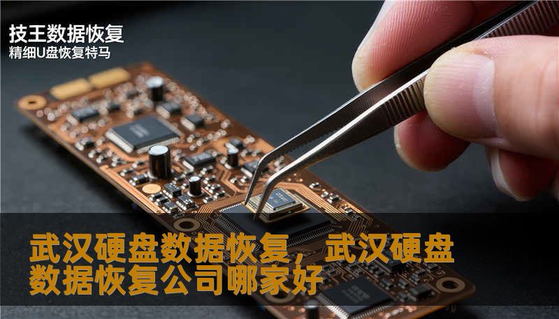 武汉硬盘数据恢复,武汉硬盘数据恢复公司哪家好 武汉硬盘数据恢复,武汉硬盘数据恢复公司哪家好