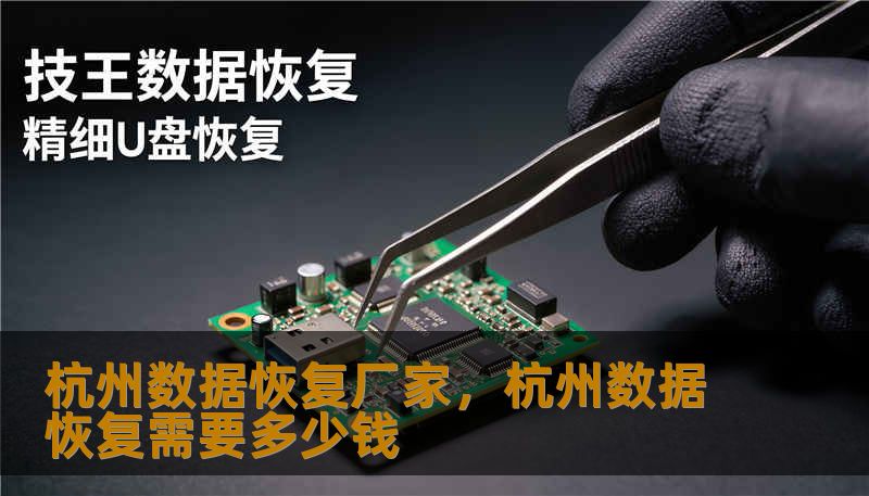 杭州数据恢复厂家，杭州数据恢复需要多少钱