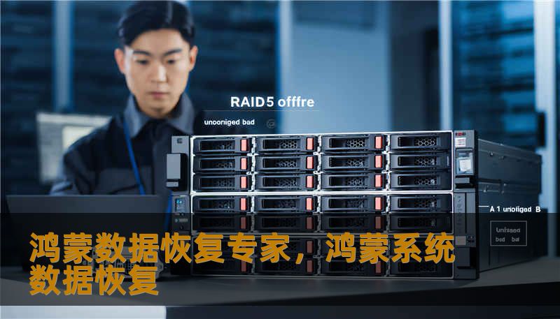 鸿蒙数据恢复专家，鸿蒙系统数据恢复