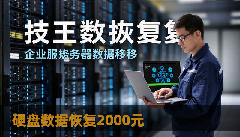 硬盘数据恢复2000元 硬盘数据恢复2000元