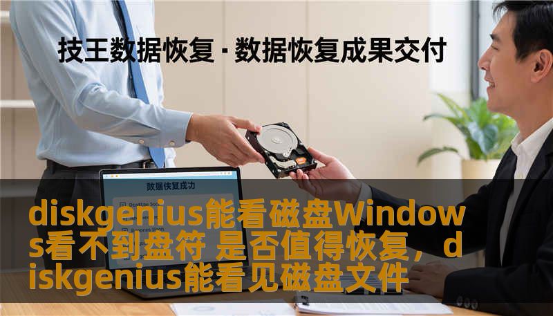 diskgenius能看磁盘Windows看不到盘符 是否值得恢复，diskgenius能看见磁盘文件