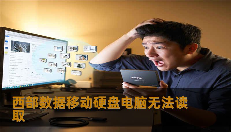 西部数据移动硬盘电脑无法读取