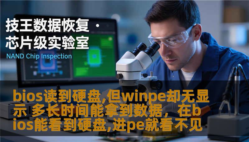 bios读到硬盘,但winpe却无显示 多长时间能拿到数据,在bios能看到硬盘,进pe就看不见 bios读到硬盘,但winpe却无显示 多长时间能拿到数据,在bios能看到硬盘,进pe就看不见