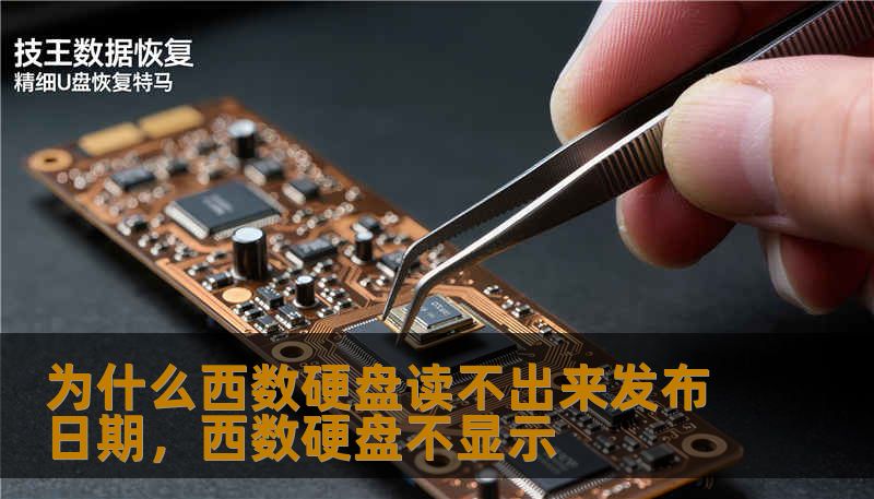 为什么西数硬盘读不出来发布日期,西数硬盘不显示 为什么西数硬盘读不出来发布日期,西数硬盘不显示