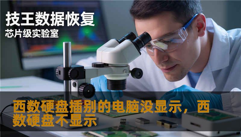 西数硬盘插别的电脑没显示,西数硬盘不显示 西数硬盘插别的电脑没显示,西数硬盘不显示