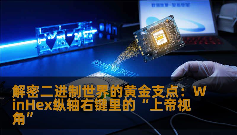 解密二进制世界的黄金支点:WinHex纵轴右键里的“上帝视角”_恢复教程_恢复资讯_技王数据恢复-技王数据恢复中心