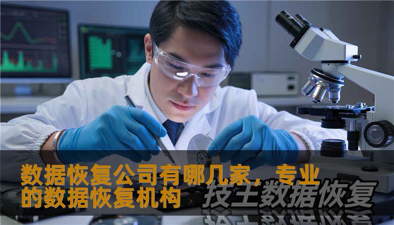 数据恢复公司有哪几家，专业的数据恢复机构