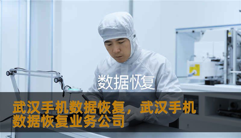 武汉手机数据恢复,武汉手机数据恢复业务公司 武汉手机数据恢复,武汉手机数据恢复业务公司