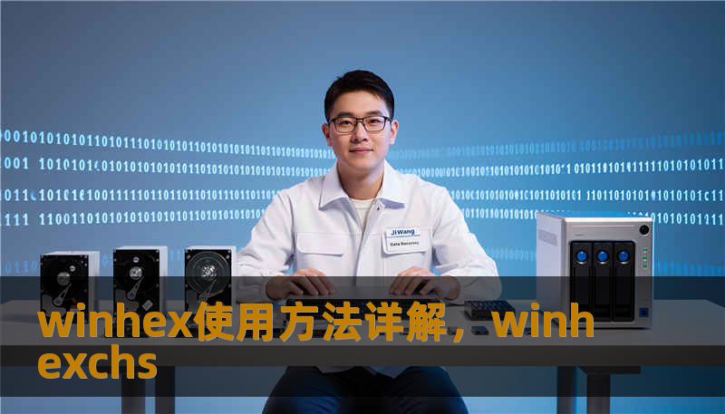 winhex使用方法详解，winhexchs