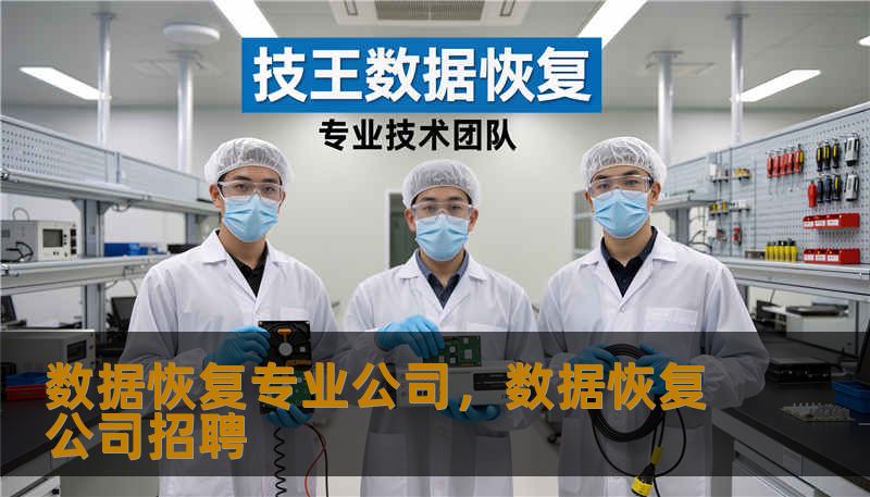 数据恢复专业公司，数据恢复公司招聘