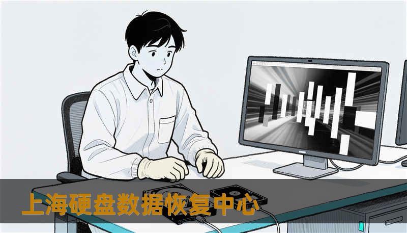 上海硬盘数据恢复中心