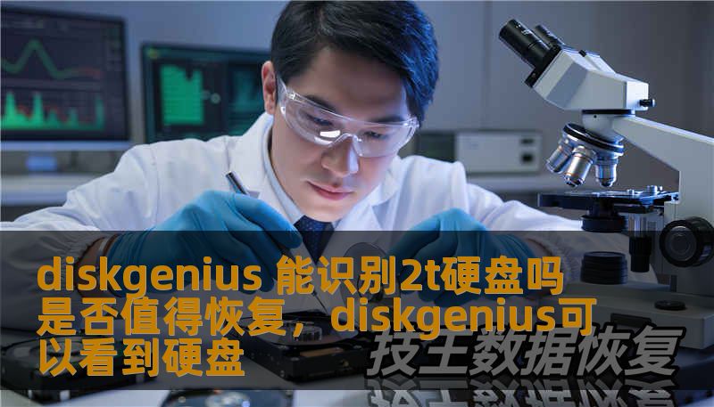 diskgenius 能识别2t硬盘吗 是否值得恢复，diskgenius可以看到硬盘