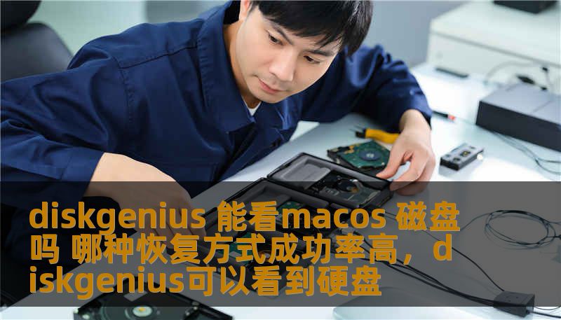 diskgenius 能看macos 磁盘吗 哪种恢复方式成功率高，diskgenius可以看到硬盘