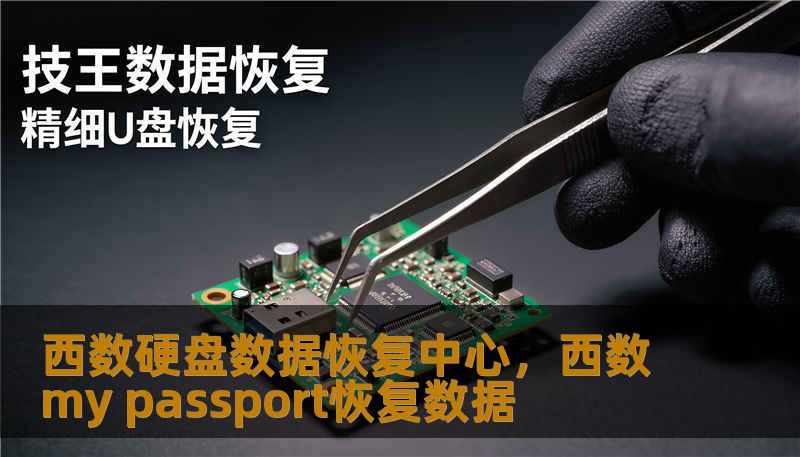 西数硬盘数据恢复中心，西数my passport恢复数据