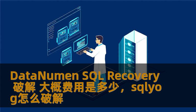 DataNumen SQL Recovery 破解 大概费用是多少，sqlyog怎么破解