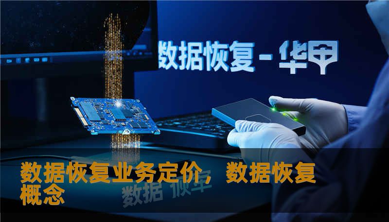 数据恢复业务定价，数据恢复概念