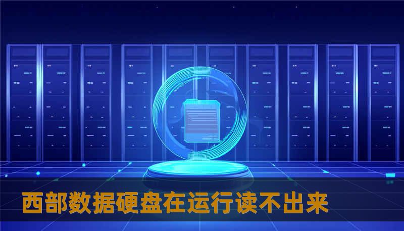 西部数据硬盘在运行读不出来